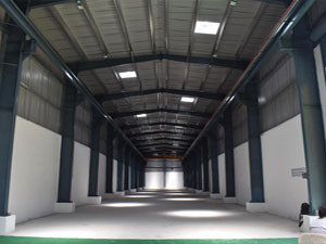 Globe Infra