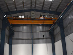 Globe Infra